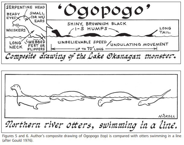 Playful river otters may explain Ogopogo's humps and wake in Lake Okanagan